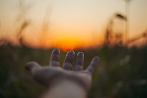 Hand in Sunset Hand in Sunset